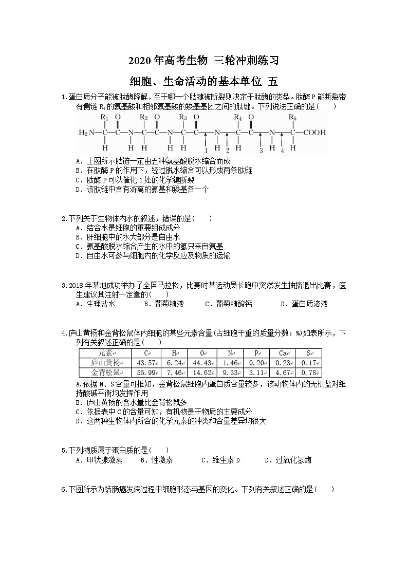 高考生物 三轮冲刺练习 细胞、生命活动的基本单位 五(20题含答案解析)01