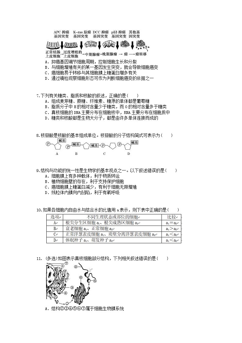 高考生物 三轮冲刺练习 细胞、生命活动的基本单位 五(20题含答案解析)02