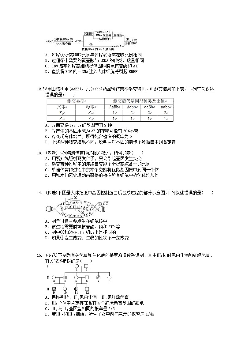 高考生物 三轮冲刺练习 遗传、变异和进化 二(20题含答案解析)03