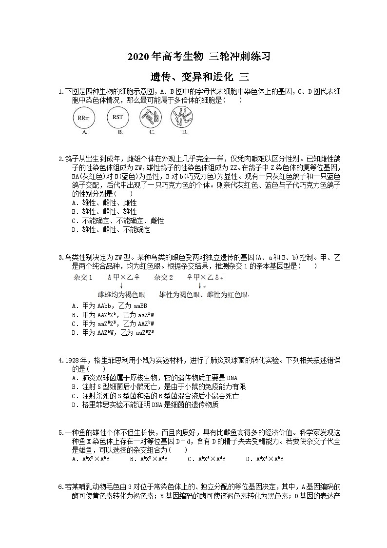 高考生物 三轮冲刺练习 遗传、变异和进化 三(20题含答案解析)第1页