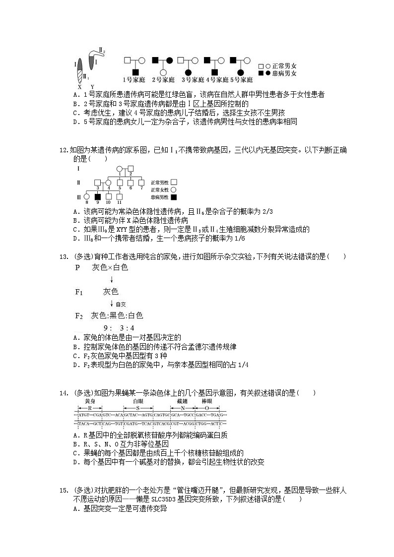 高考生物 三轮冲刺练习 遗传、变异和进化 三(20题含答案解析)第3页