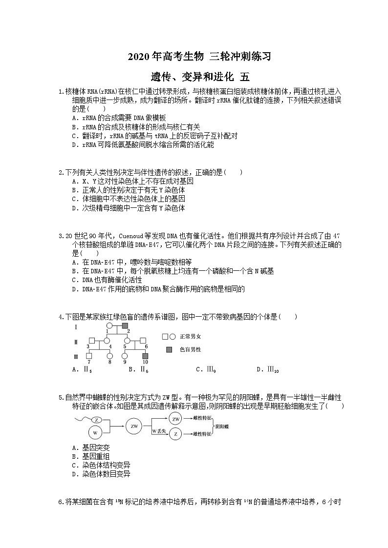 高考生物 三轮冲刺练习 遗传、变异和进化 五(20题含答案解析)第1页