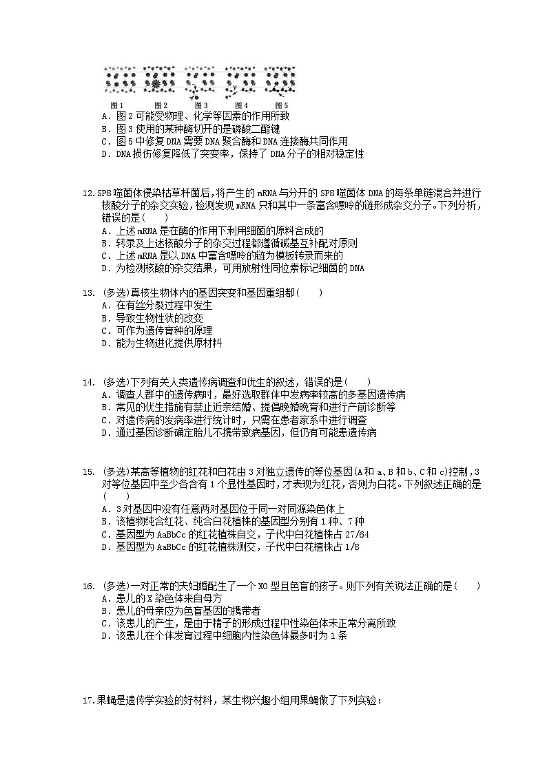 高考生物 三轮冲刺练习 遗传、变异和进化 五(20题含答案解析)第3页