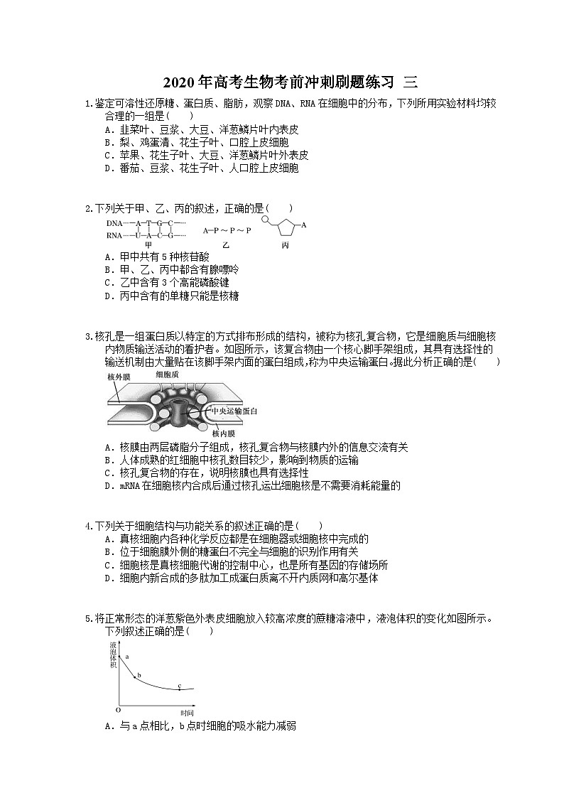 高考生物考前冲刺刷题练习 三（含答案解析）第1页