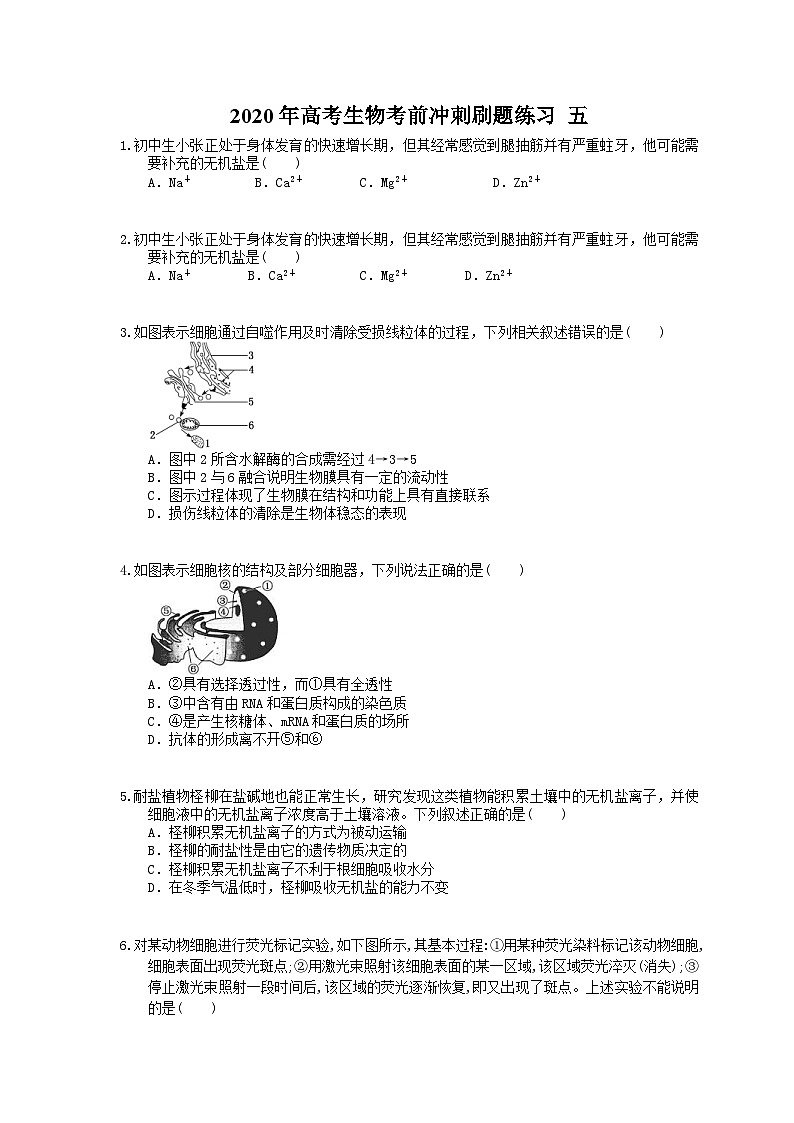 高考生物考前冲刺刷题练习 五（含答案解析）第1页