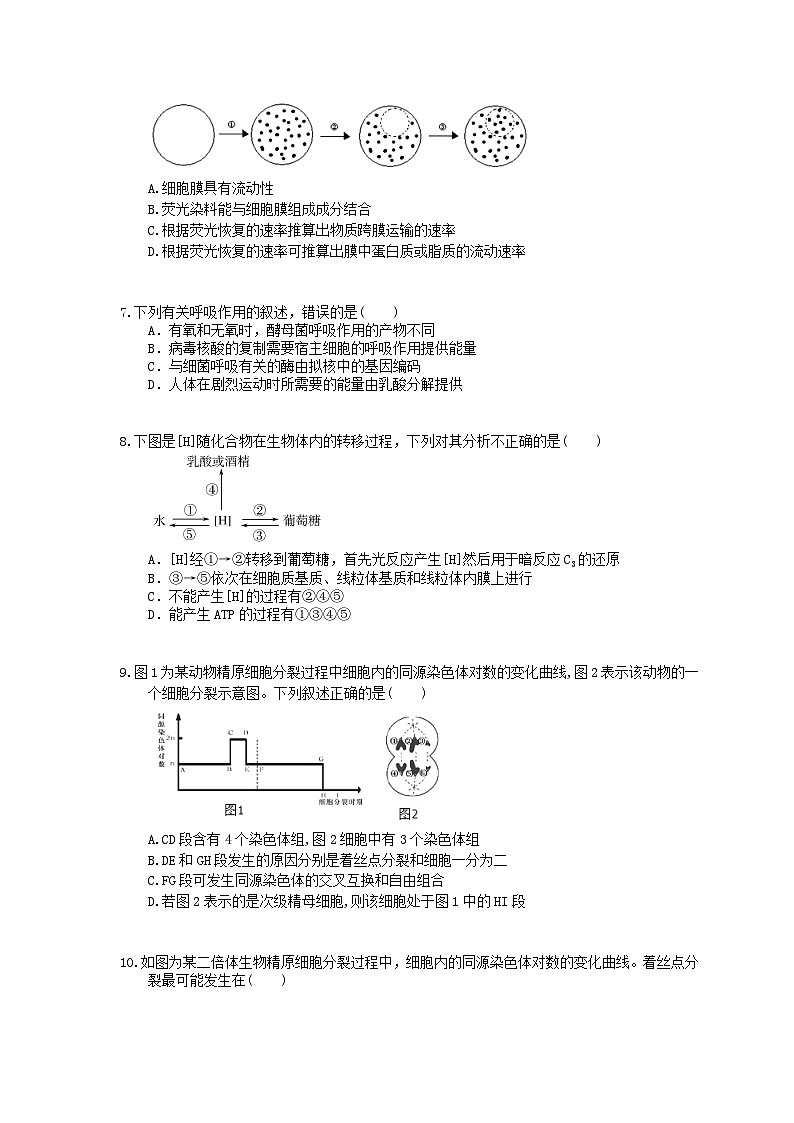 高考生物考前冲刺刷题练习 五（含答案解析）第2页