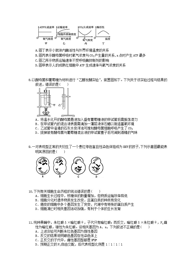 高考生物考前冲刺刷题练习 一（含答案解析）02