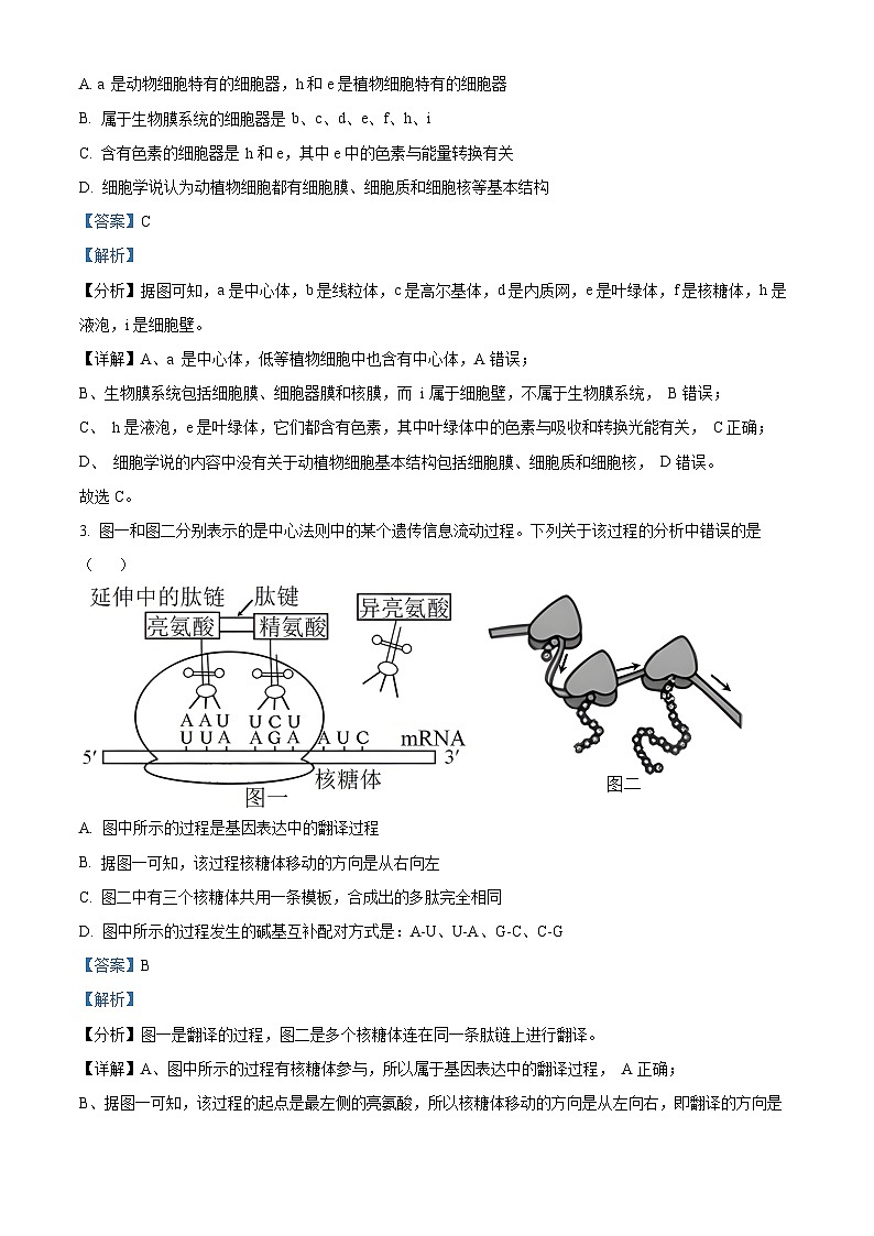 甘肃省兰州市等5地2022-2023学年高二生物下学期7月期末试题（Word版附解析）02