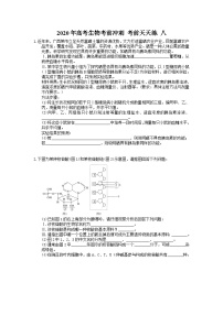 高考生物考前冲刺 考前天天练 八（含答案解析）