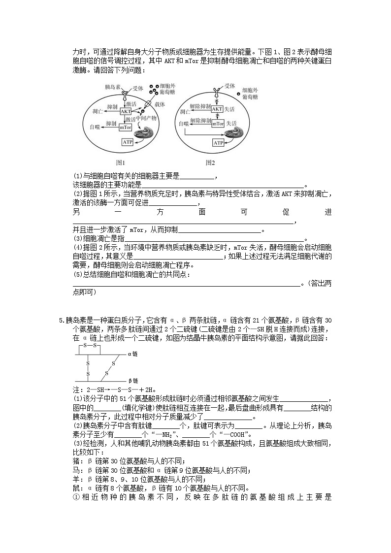 高考生物考前冲刺 考前天天练 九（含答案解析）03