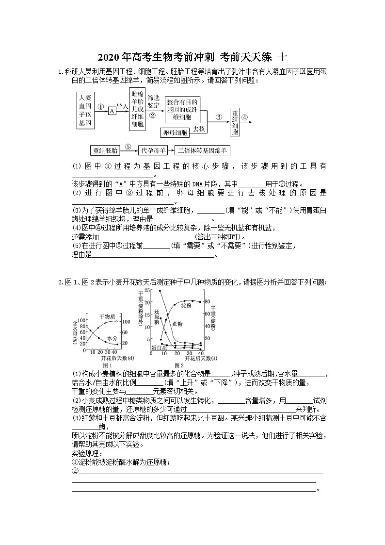 高考生物考前冲刺 考前天天练 十（含答案解析）第1页
