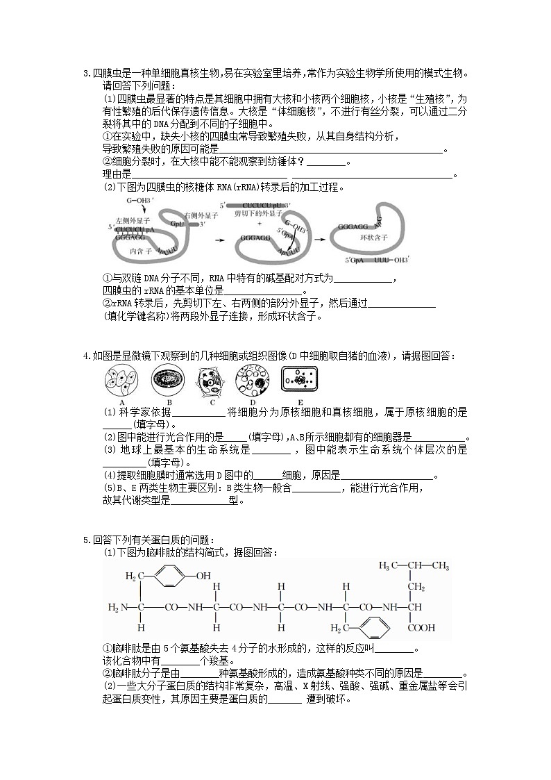 高考生物考前冲刺 考前天天练 四（含答案解析）第2页