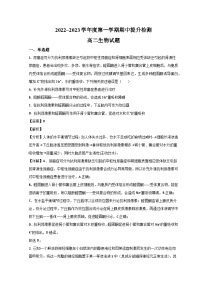 山东省枣庄市第三中学2022-2023学年高二生物上学期期中考试试题（Word版附解析）