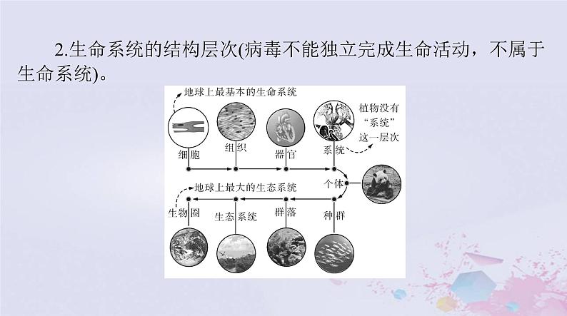 2024届高考生物一轮总复习必修1第1章走近细胞课件06