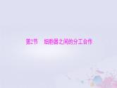 2024届高考生物一轮总复习必修1第3章细胞的基本结构第2节细胞器之间的分工合作课件