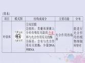 2024届高考生物一轮总复习必修1第3章细胞的基本结构第2节细胞器之间的分工合作课件
