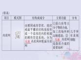 2024届高考生物一轮总复习必修1第3章细胞的基本结构第2节细胞器之间的分工合作课件