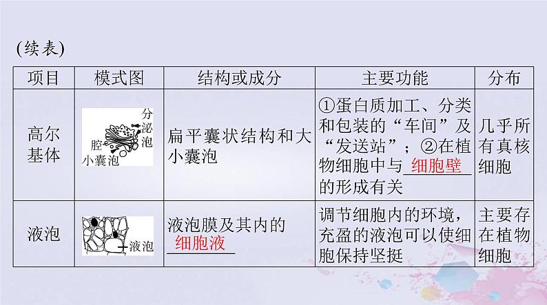 2024届高考生物一轮总复习必修1第3章细胞的基本结构第2节细胞器之间的分工合作课件06