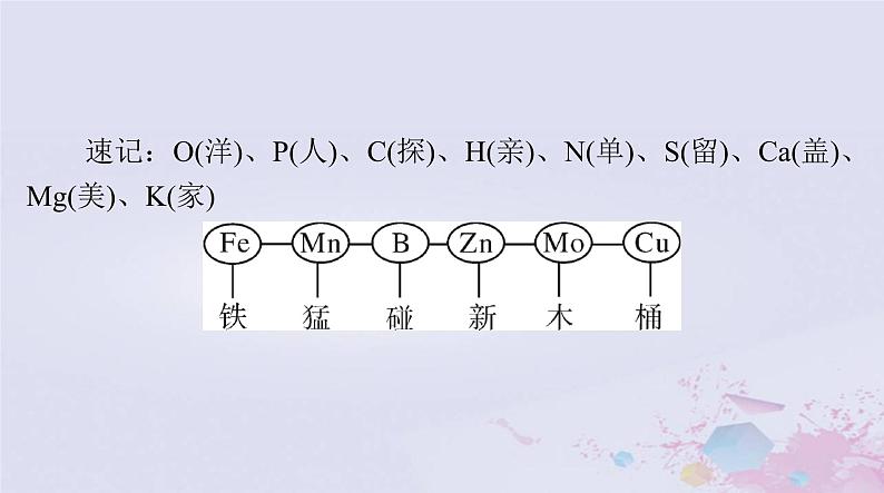 2024届高考生物一轮总复习必修1第2章组成细胞的分子第123节细胞中的元素和化合物细胞中的无机物细胞中的糖类和脂质课件第6页