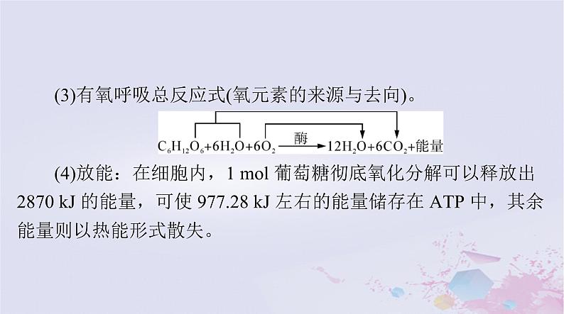 2024届高考生物一轮总复习必修1第5章细胞的能量供应和利用第3节细胞呼吸的原理和应用课件04