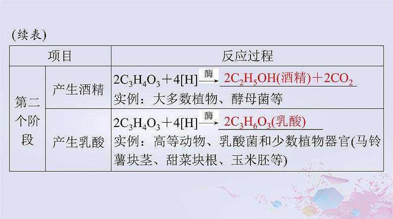 2024届高考生物一轮总复习必修1第5章细胞的能量供应和利用第3节细胞呼吸的原理和应用课件06