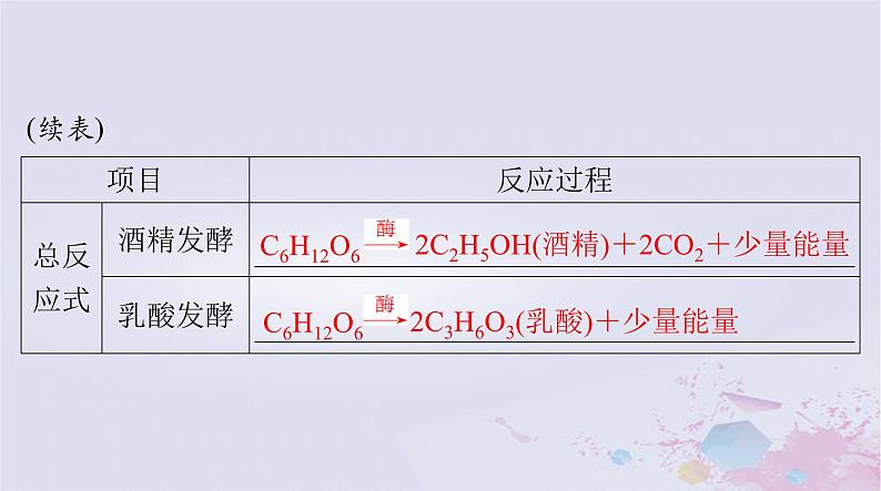 2024届高考生物一轮总复习必修1第5章细胞的能量供应和利用第3节细胞呼吸的原理和应用课件07