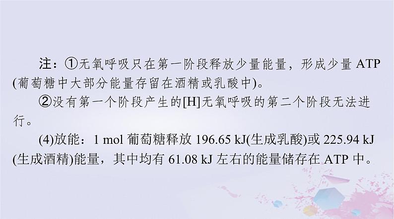 2024届高考生物一轮总复习必修1第5章细胞的能量供应和利用第3节细胞呼吸的原理和应用课件08