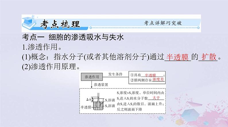 2024届高考生物一轮总复习必修1第4章细胞的物质输入和输出课件第3页