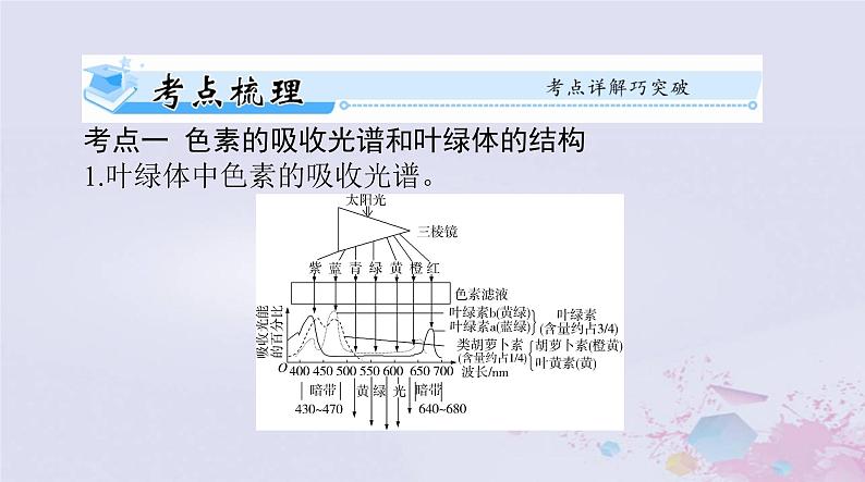 2024届高考生物一轮总复习必修1第5章细胞的能量供应和利用第4节光合作用与能量转化课件02