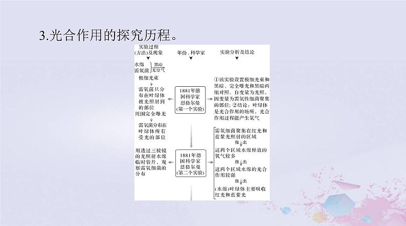 2024届高考生物一轮总复习必修1第5章细胞的能量供应和利用第4节光合作用与能量转化课件06