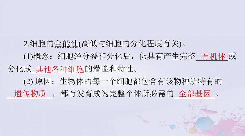 2024届高考生物一轮总复习必修1第6章细胞的生命历程第23节细胞的分化细胞的衰老和死亡课件第6页