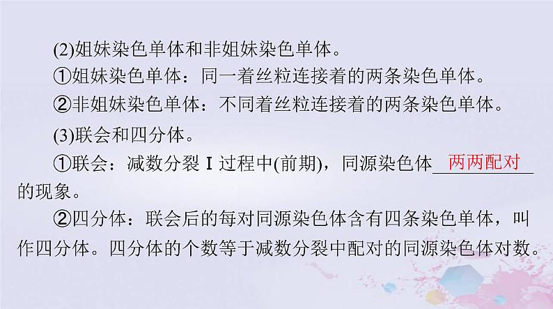 2024届高考生物一轮总复习必修2第2章基因和染色体的关系第1节减数分裂和受精作用课件第6页