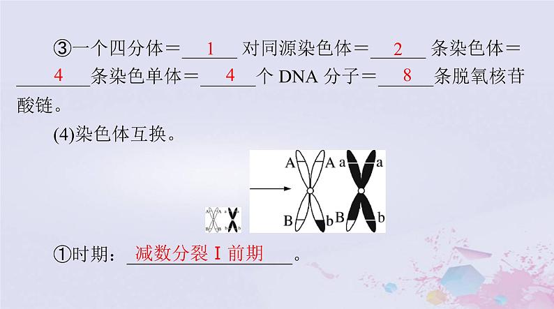 2024届高考生物一轮总复习必修2第2章基因和染色体的关系第1节减数分裂和受精作用课件第7页