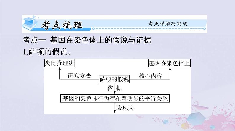 2024届高考生物一轮总复习必修2第2章基因和染色体的关系第23节基因在染色体上伴性遗传课件第2页