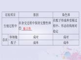 2024届高考生物一轮总复习必修2第2章基因和染色体的关系第23节基因在染色体上伴性遗传课件