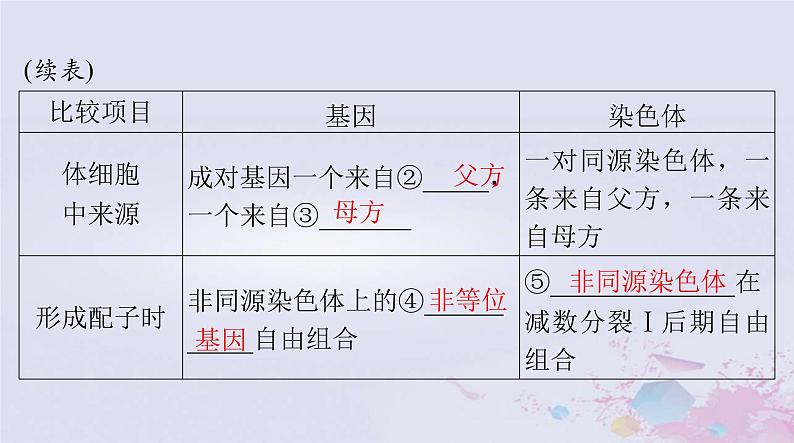 2024届高考生物一轮总复习必修2第2章基因和染色体的关系第23节基因在染色体上伴性遗传课件第4页