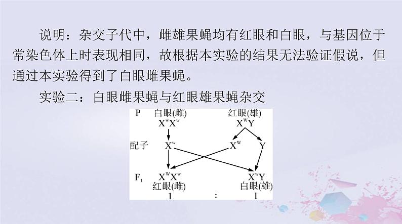 2024届高考生物一轮总复习必修2第2章基因和染色体的关系第23节基因在染色体上伴性遗传课件第8页