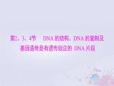 2024届高考生物一轮总复习必修2第3章基因的本质第234节DNA的结构DNA的复制及基因通常是有遗传效应的DNA片段课件