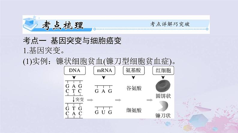 2024届高考生物一轮总复习必修2第5章基因突变及其他变异第1节基因突变和基因重组课件第4页