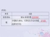 2024届高考生物一轮总复习必修2第4章基因的表达课件