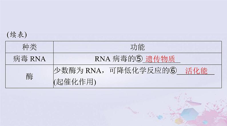 2024届高考生物一轮总复习必修2第4章基因的表达课件第4页