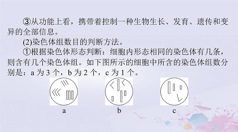 2024届高考生物一轮总复习必修2第5章基因突变及其他变异第2节染色体变异课件第4页