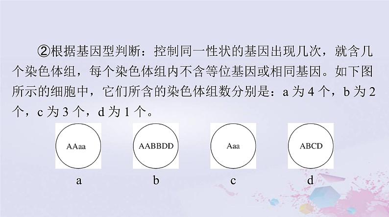 2024届高考生物一轮总复习必修2第5章基因突变及其他变异第2节染色体变异课件第5页