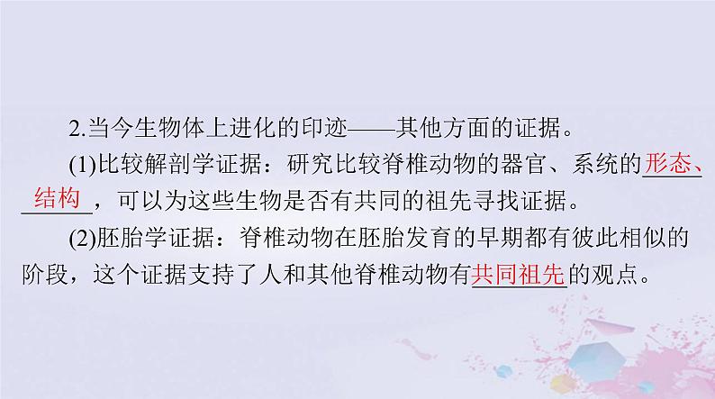 2024届高考生物一轮总复习必修2第6章生物的进化课件第6页