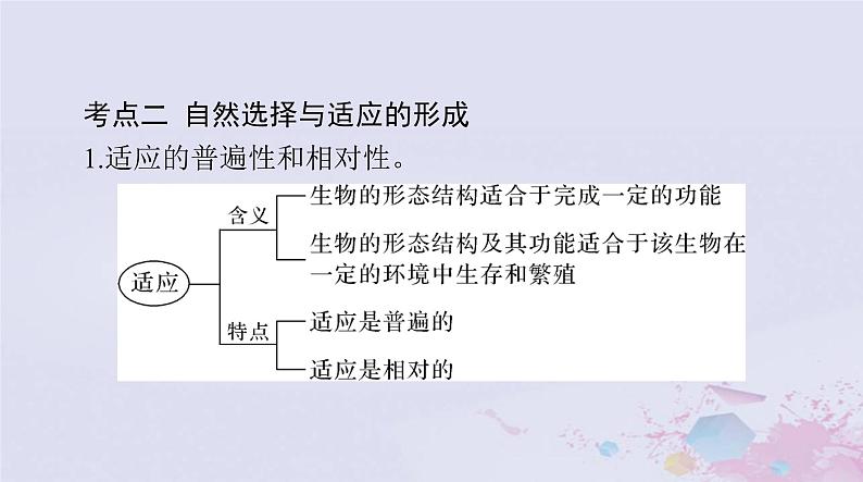 2024届高考生物一轮总复习必修2第6章生物的进化课件第8页