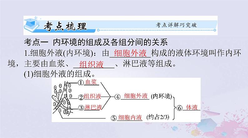 2024届高考生物一轮总复习选择性必修1第1章人体的内环境与稳态课件第3页