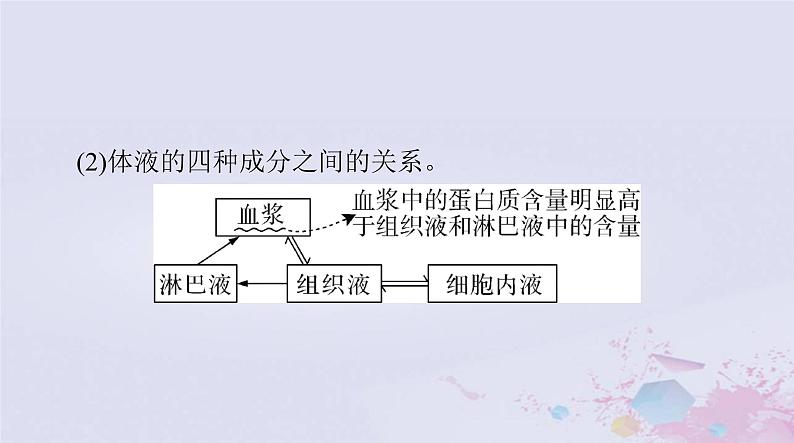 2024届高考生物一轮总复习选择性必修1第1章人体的内环境与稳态课件第4页