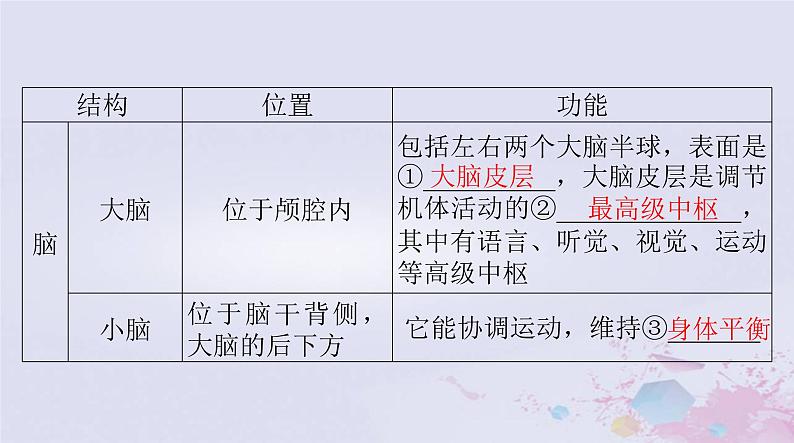 2024届高考生物一轮总复习选择性必修1第2章神经调节第12节神经调节的结构基础神经调节的基本方式课件第5页
