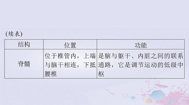 2024届高考生物一轮总复习选择性必修1第2章神经调节第12节神经调节的结构基础神经调节的基本方式课件第7页
