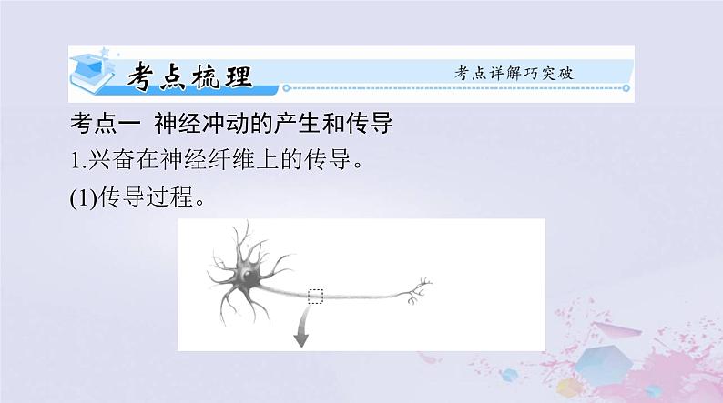 2024届高考生物一轮总复习选择性必修1第2章神经调节第345节神经冲动的产生和传导神经系统的分级调节人脑的高级功能课件第2页